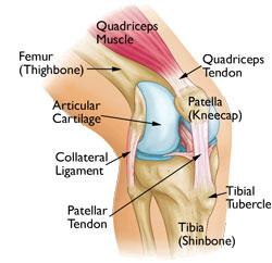 It is sometimes called "runner's knee" or "jumper's knee" because it is common in people who participate in sports particularly females and young adults but patellofemoral pain syndrome can occur in