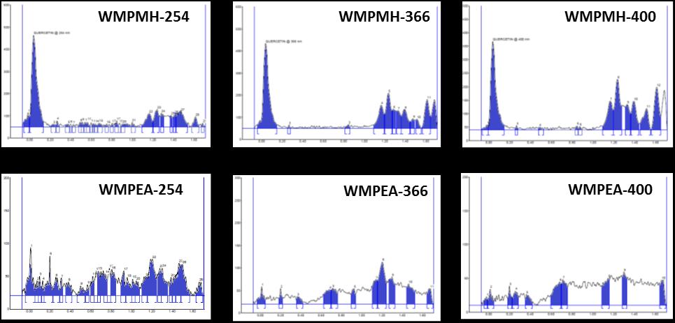 02 minimum and 0.98 maximum Rf values when analysed under 400 nm wavelength. SAMPLE 12: WMPMH Figure 3.