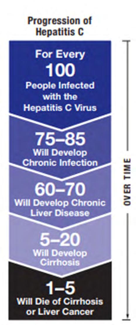 2 5 Hepatitis C Disease Progression Immunocompetent patients: Progression to cirrhosis occurs in small population and takes 20-40 years Immunosuppressed patients