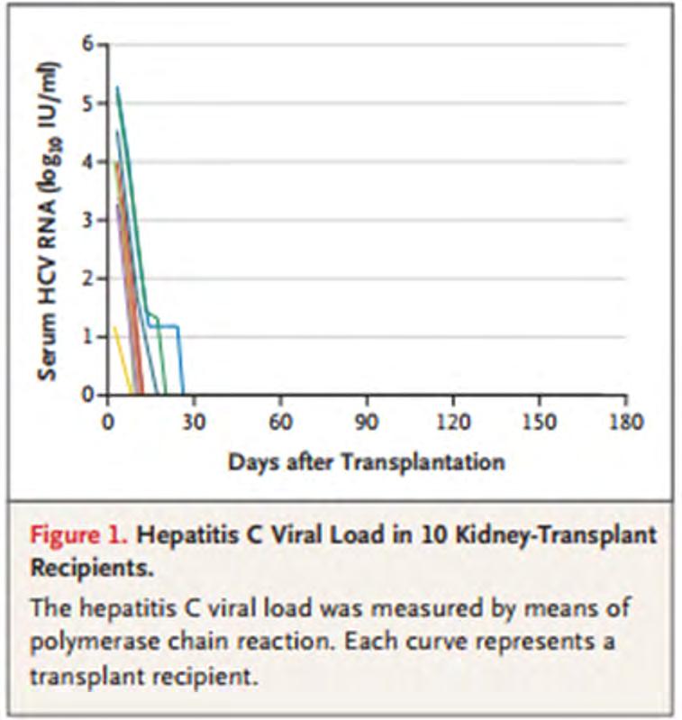 THINKER trial N=10 Kidney transplant: HCV negative recipients, HCV NAT positive donors HCV genotyping during allocation Genotypes 1a or 1b only When HCV NAT was detected in the