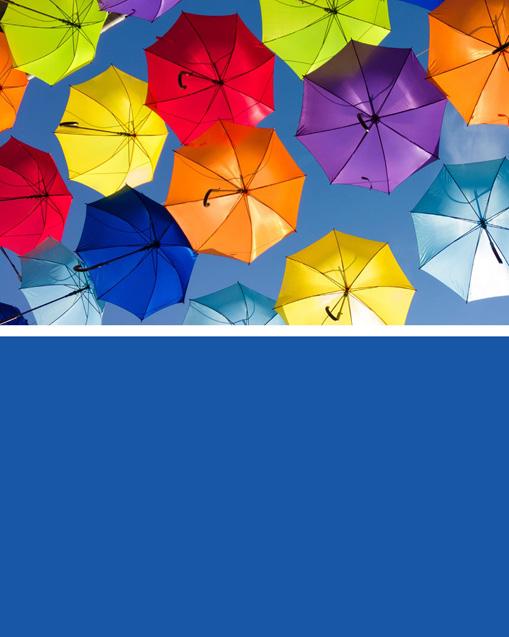 Worcestershire Health and Care NHS Trust Autism Assessment The Umbrella
