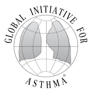 GLOBAL INITIATIVE FOR ASTHMA POCKET GUIDE FOR HEALTH PROFESSIONALS Updated 2017 GINA Board of Directors Chair: Søren Pedersen, MD GINA Science Committee Chair: Helen Reddel, MBBS PhD GINA
