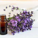 What is an Essential Oil? Essential oils are the volatile liquids that are distilled from plants (including their respective parts such as seeds, bark, leaves, stems, roots, flowers, fruit, etc.