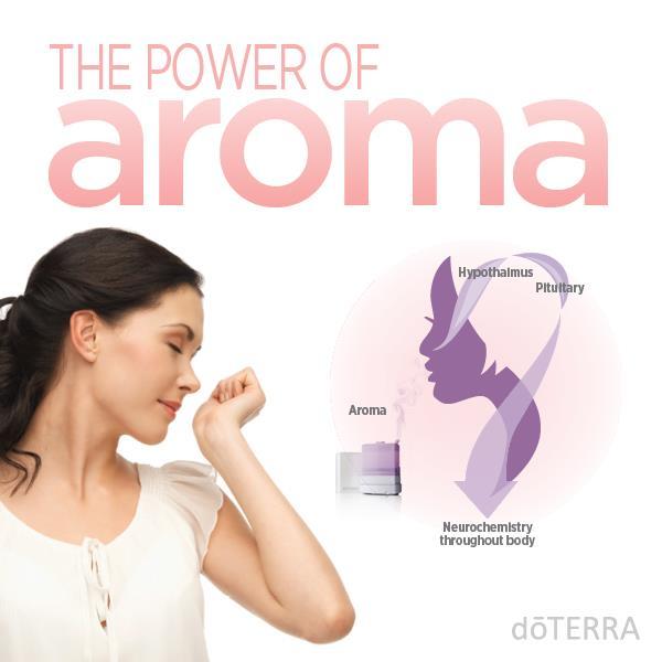 What is an aroma? An aroma can be pleasant and unpleasant i.e. a bouquet of fresh flowers can be amazing to smell but a carton of rotten eggs can be disgusting. Our sense of smell is most potent.