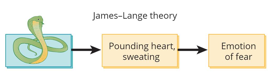 James-Lange Theory The James-Lange Theory proposes that we feel emotion (such as fear) after we notice our physiological responses to a stimulus event (seeing a snake) We