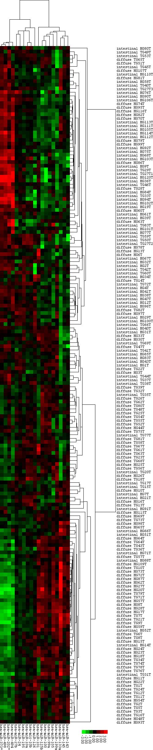 Ueda et al webappendix 6 Webfigure 3: Average linkage clustering with centered Pearson correlation using 103 diffuse-type gastric cancers and 81 intestinal-type gastric cancers (184 gastric cancers)