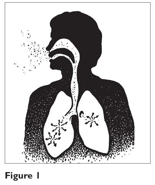 When present in the air we breathe, radon can reach the lungs.