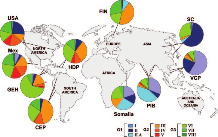VOL. 19, 2006 MOLECULAR EPIDEMIOLOGY OF TUBERCULOSIS 675 FIG. 3. Distribution of M. tuberculosis SNP-derived clusters, based on patient country of origin.