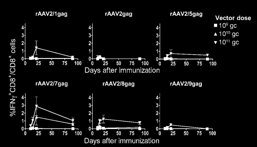 Figure 1 Vectors based on different AAV serotypes induce gag-specific CD8 + T cell responses.