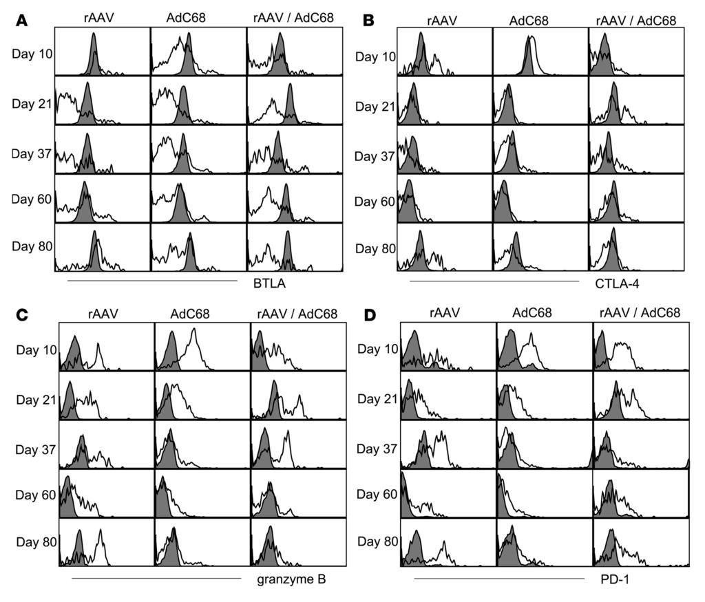 Figure 9 Transgene product specific CD8 + T cells induced by raav immunization express markers indicative of exhaustion.