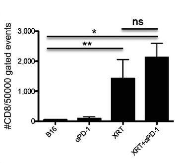 (NKG2D-L) on tumor cells à improved tumor cell killing Negative effect: PD-L1 on tumor cells Demaria,
