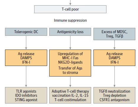 RT and Immunotherapy in T cell Negative Tumors Demaria, JAMA Onc