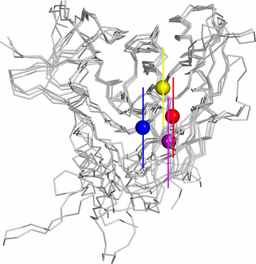 Similarity of Epitopes and
