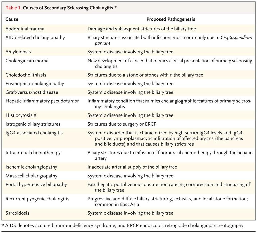 Causes of Secondary Sclerosing Cholangitis. NF.