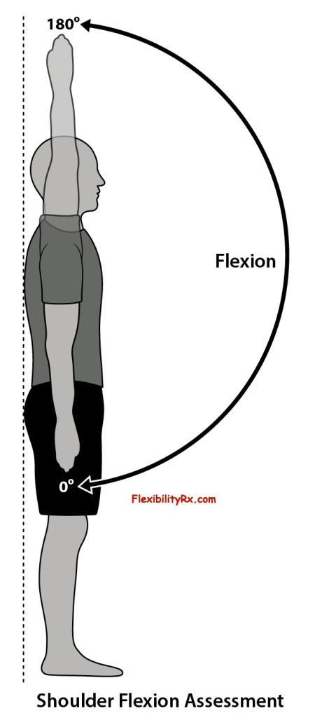 ROM» Flexion (elevation)