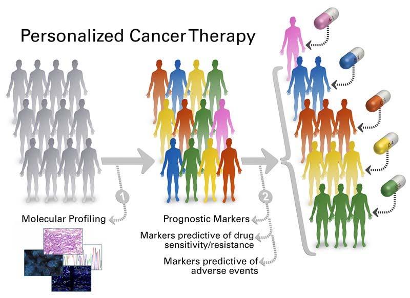 The Future of cancer therapy