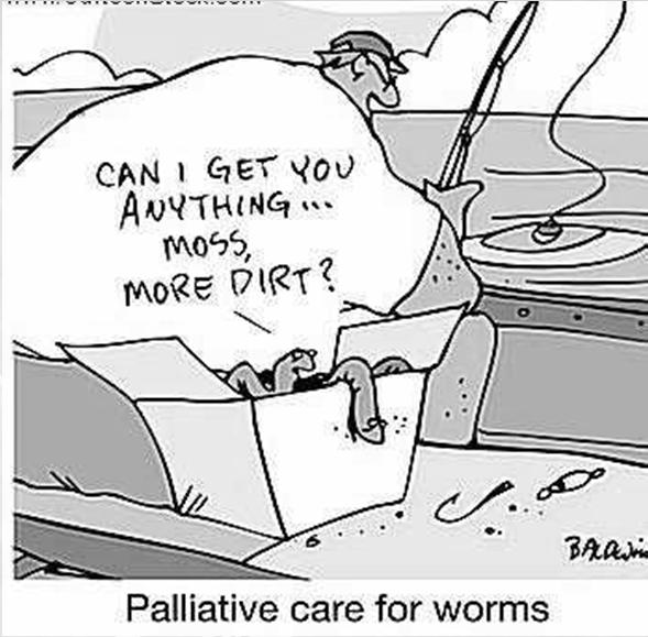 Palliative Care Triggers You would not be surprised if the resident/patient died within 12-18 months You re aware the resident/patient has 3 or more chronic illnesses and is on multiple