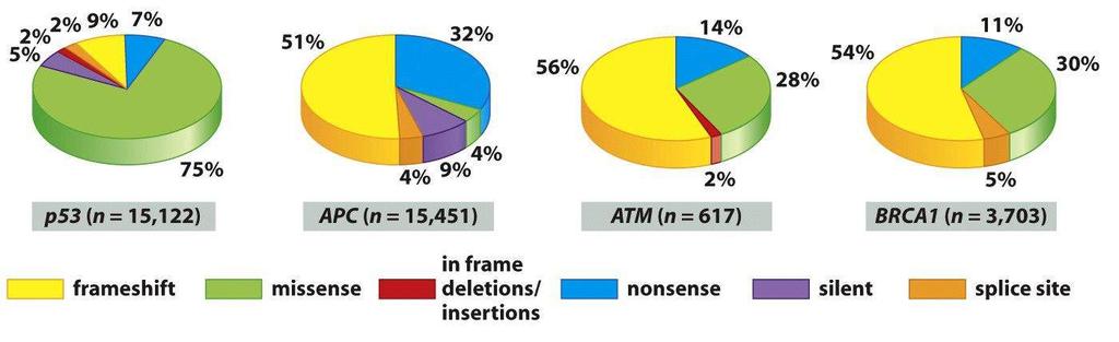 Natures of gene mutations in different tumor suppressors Figure 9.