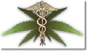 Medical Marijuana and the Workplace Douglas W Martin MD FACOEM FAADEP FAAFP