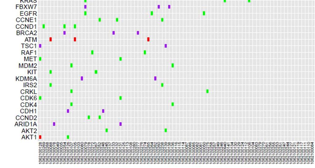 lost MCL1 PIK3CA amplifications mutations overlap