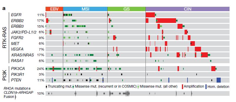 The Cancer Genome Atlas (TCGA) 295 Primary