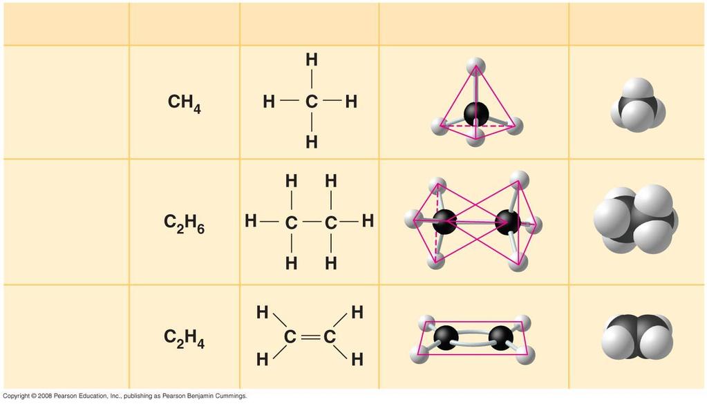 Carbon forms diverse molecules by bonding to 4 other atoms usually H, O, N Name (a) Methane