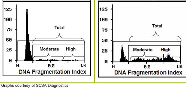 oxygen species DNA Fragmentation Index