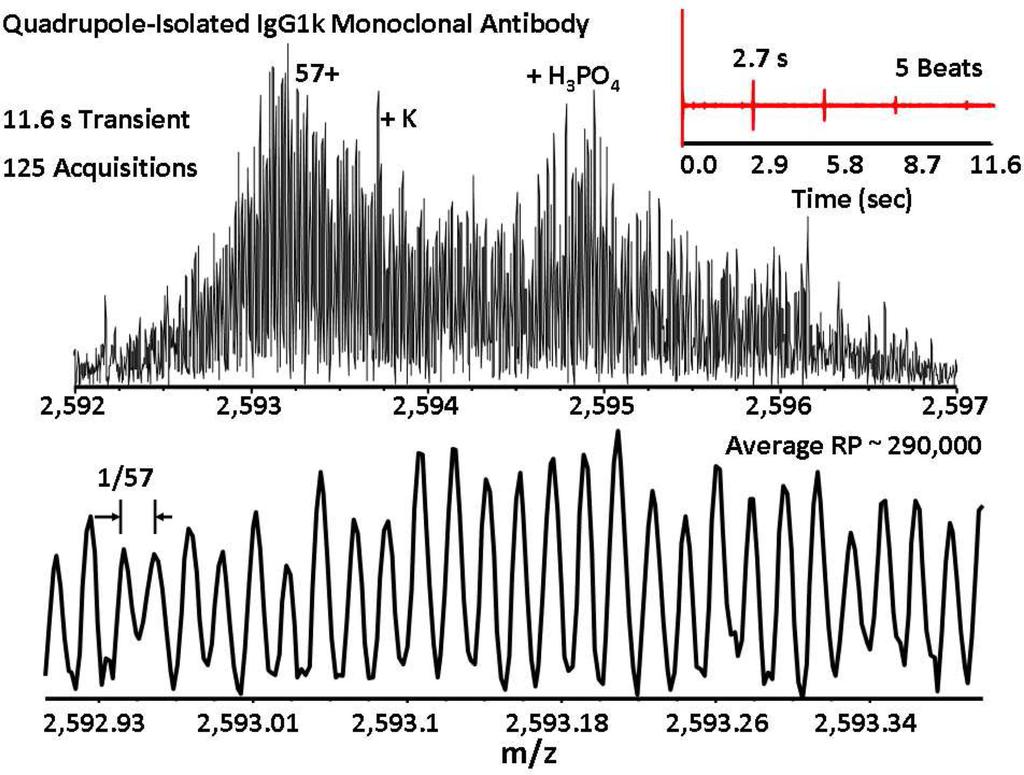 Unit Mass Baseline Resolution for an Intact 148 kda Therapeutic Monoclonal Antibody by FT-ICR Mass Spectrometry Valeja et al. Page 10 NIH-PA Author Manuscript NIH-PA Author Manuscript FigureAnal 3.