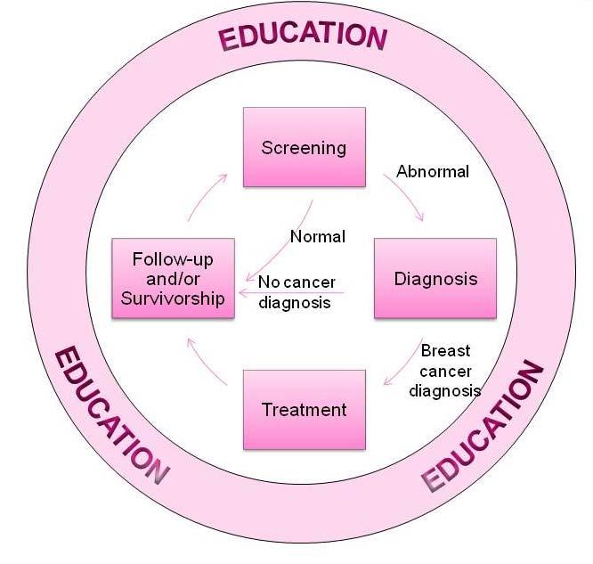 Health Systems Overview The Breast Cancer Continuum of Care (CoC) is a model that shows how a patient typically moves through the health care system for breast care.