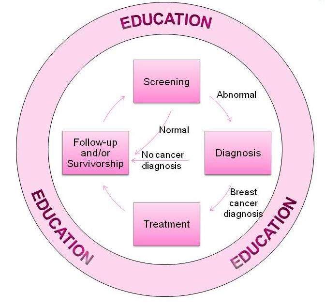 The comprehensive cycle of services known as the continuum of care is an integrated system of breast health programs and services including varying levels of education, screening, diagnosis,