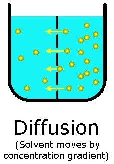 The movement of particles from a region of Higher concentration to a region of Lower concentration, along the concentration gradient, is known as DIFFUSION.