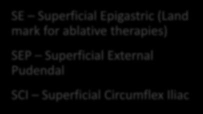 SFJ Tributaries SE Superficial Epigastric (Land mark for ablative therapies) SEP