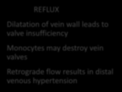 Pathophysiology: 2 components REFLUX Dilatation of vein wall leads to valve insufficiency