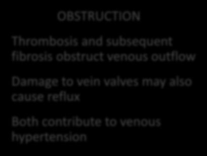OBSTRUCTION Thrombosis and subsequent fibrosis obstruct venous outflow Damage to vein valves may