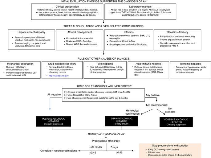 Early alcoholic liver disease Figure 2: Algorithm for diagnosis of