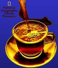 Mechanism of Protective Effect of Coffee Unknown Caffeine,