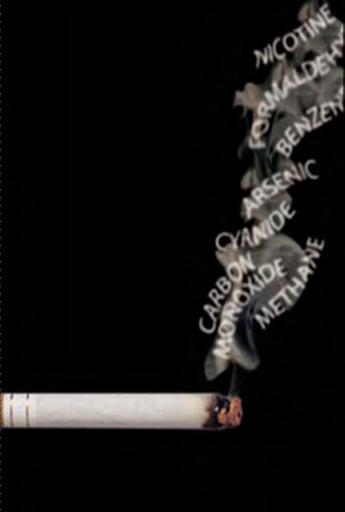 What Factors are Associated with Pregnancy Smoking/Failure to Quit?