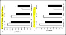 How might postpartum inflammatory conditions during NEB exert carryover effects on fertility in dairy cows?