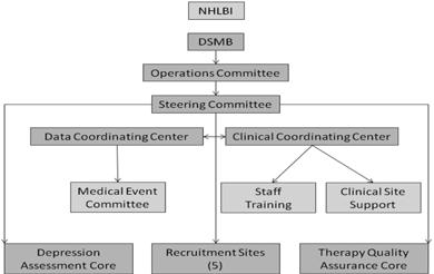 CODIACS Design CODIACS Organizational Chart Two-parallel arm assessor-blinded trial Randomization in 1:1 manner Active: Stepped care Control: Referred care 5-site single-blind randomized feasibility