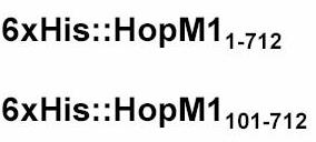 HopM1101-712 to