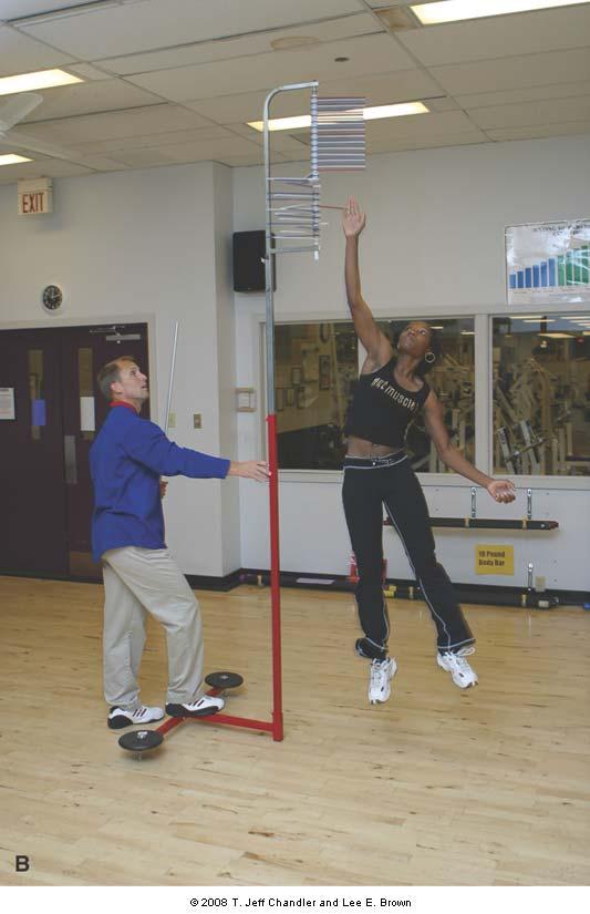 Countermovement Vertical Jump The vertical jump is performed primarily utilizing the hip extensor and ankle plantarflexor muscle groups.