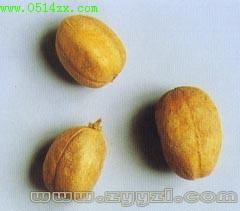 At present, used for ascites due to end stage schistosomiasis. - With Xin Ren 3.
