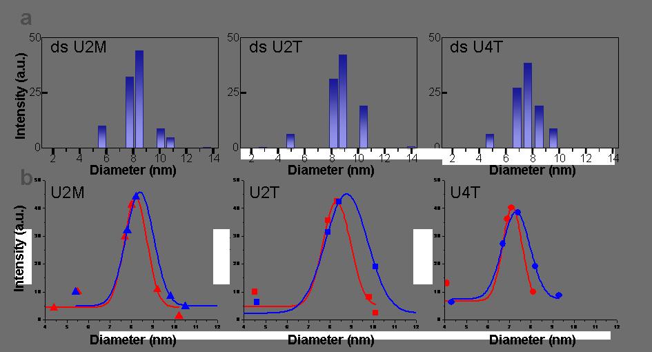 4.2. DLS size distribution of the DNA amphiphiles after hybridization Figure S5. Dynamic light scattering (DLS) diameter distributions, analyzed by number.