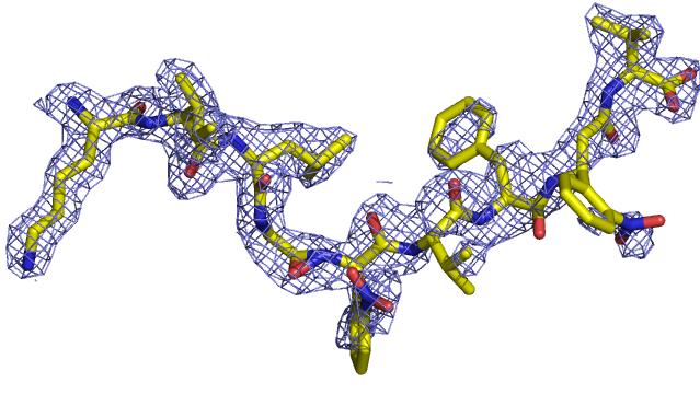 (KILGJ*VFJV) UV-sensitive ligand