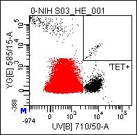 Identification of diverse T cell populations in HLA-A2 + TIL products pt.lr pt.he MART 1 (#78) (0.018%) ELAGIGILTV gp100 (#56) (0.045%) IMDQVPFSV SSX 2 (#114) (0.628%) KASEKIFYV MAGE A10 (#59) (0.