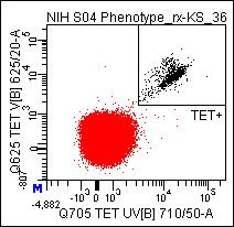 Identification of diverse T cell populations in HLA-A2 + TIL products pt.