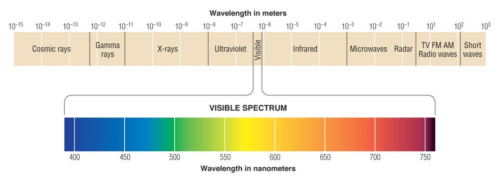 VISION: PHYSICAL STIMULUS Stimulus = Electromagnetic Radiation (Light) Human sensitivity = 380-760 nm wavelength Length of one cycle =
