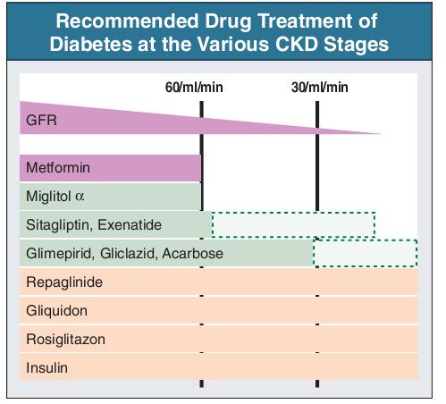 Metformin has been used in low doses in patients with GFR as low as 30 to 60 ml/min. It should not be used at a GFR below 30 ml/min.