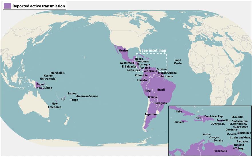 Zika Virus Basics 45 countries and territories in the Americas and 54 countries and territories worldwide reporting active Zika virus transmission (as of 8/02/16) 6,408 cases of
