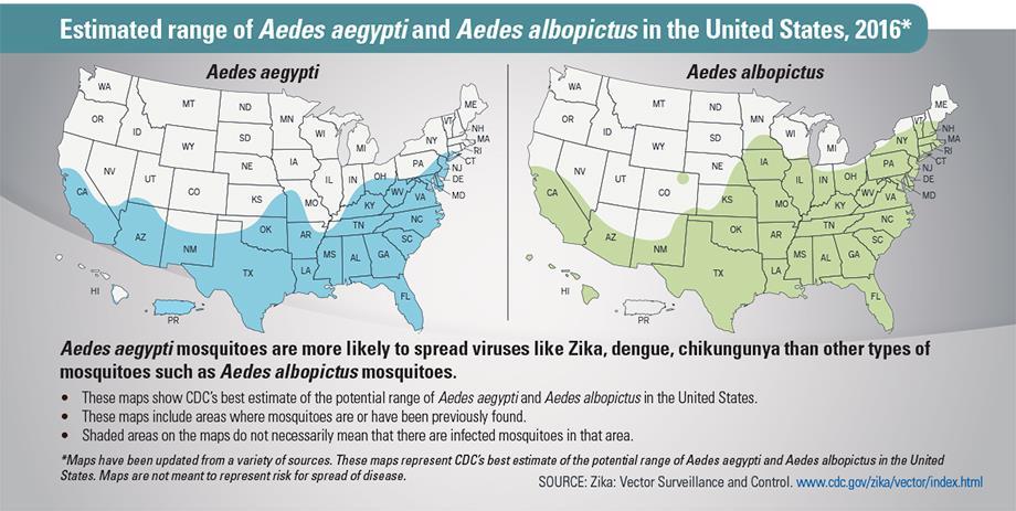 Aedes aegypti and Aedes albopictus Mosquitoes Can Transmit Zika There are hundreds of Aedes species mosquitoes; We are concerned with Aedes aegypti and Ae.